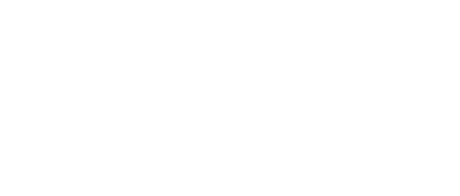 Synapses Ventures